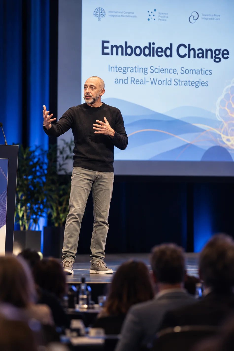 Fabio Sinibaldi speaking at an integrative mental health conference